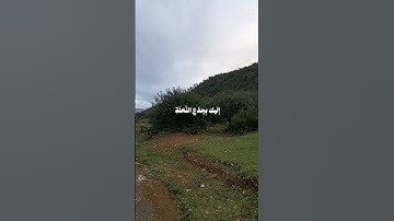 🌴القرآن الكريم 🌴عبدالباسط عبدالصمد الحنجرة الذهبية تلاوة خاشعة من القرآن الكريم 👍