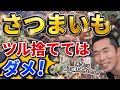 【さつまいも栽培】そのつる捨てていませんか?来年も使えます!2つの保存方法!2022.10.24 【家庭菜園】【ガーデニング】【収穫】