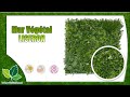 Vidéo: Mur Végétal Artificiel LISERON 1m x 1m