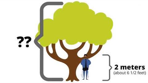 How to estimate the size of stuff under a microscope