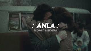 Diyar Pala Anla Slowed Ireverb