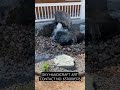 WATER FOUNTAIN ⛲⛲🌊 SKY HANDICRAFT ART 🌌❤️👍#shorts #vlog #viral