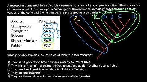 Bioinformatics Principles in building Phylogenic trees