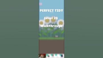 Perfect Tidy Level 28 Walkthrough #gameplay #perfecttidy