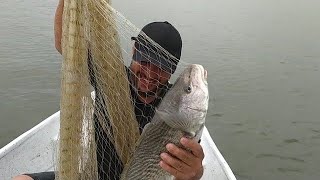 Pensa na loucura que foi pegar esse peixe enorme...