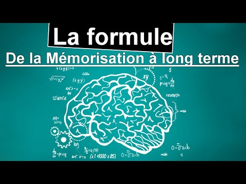 Vidéo: Le Moyen Optimal De Mémorisation à Long Terme Des Informations Est Nommé - Vue Alternative