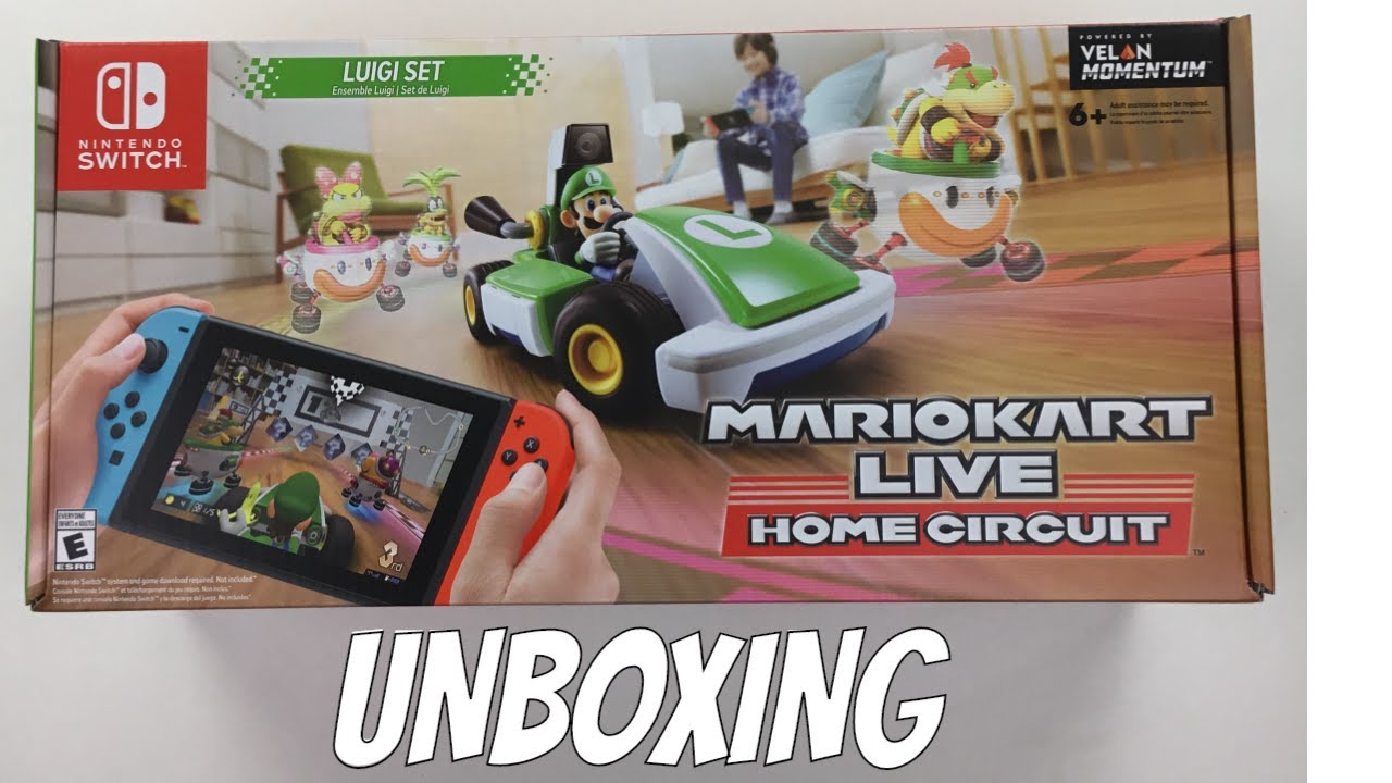  Mario Kart Live: Home Circuit - Luigi (Nintendo Switch) : Video  Games