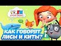 Как разговаривают лисы и киты? Веснушка и Кипятоша расскажут