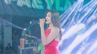 Download lagu PAEYLAND MUSIC - DIUJUNG JALAN - SABELA KDI - HAPPY PARTY PUTRA GAMBIR - RAHTAWU