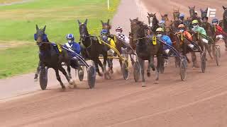 Vidéo de la course PMU PRIX DE SAUSSAY