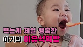 먹을때 제일 행복한 아기의 이유식먹방