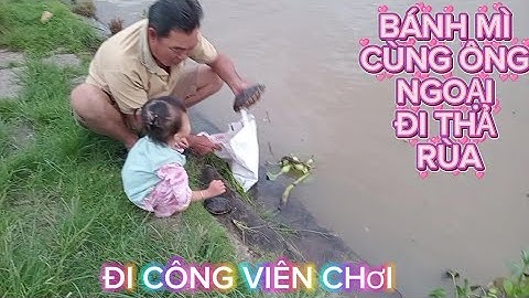 Nay đi hái dừa xiêm xanh rất đẹp .ông ngoại chở Bánh Mì đi thả những chú rùa và đi công viên 