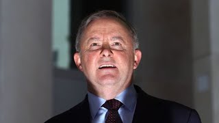 ‘Very revealing’: Albanese jokes he would ban social media as a dictator