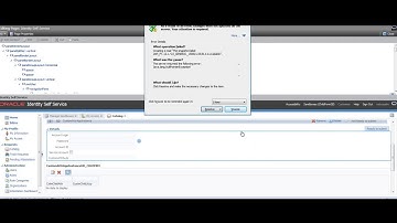 Creating Custom Appinstance Attributes And Adding Custom Attribute to Application Instance Form