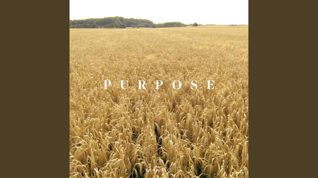 Purpose bekijken op YouTube Purpose bekijken op YouTube