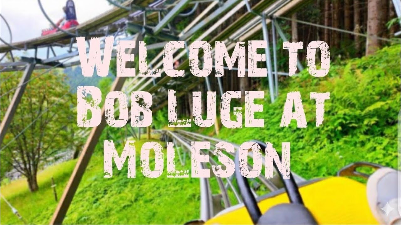 Insane Mountain Coaster Ride in Switzerland 🇨🇭 | 4K POV Thrill Experience