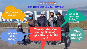 Thực tập sinh tại Nhật - Một ngày của thực tập sinh ngành cắt tỉa cây cảnh tại Nhật.