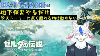 【ゼルダの伝説 ティアーズ  オブ ザ キングダム # B1】地下探索するだけ【ケモノ系Vtuber】