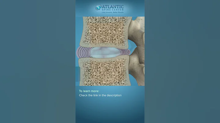 Spine Anatomy | Know Your Spine #Shorts