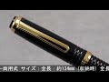 PLATINUM プラチナ 万年筆 #3776 センチュリー発売10周年記念 "DECADE"-ディケイド- 中字