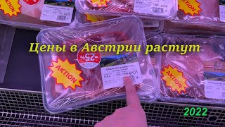 Австрия. Сколько стоят продукты в Вене. Магазин Penny. 2022