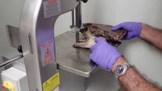 Using The Bandsaw 在驗屍室使用帶鋸