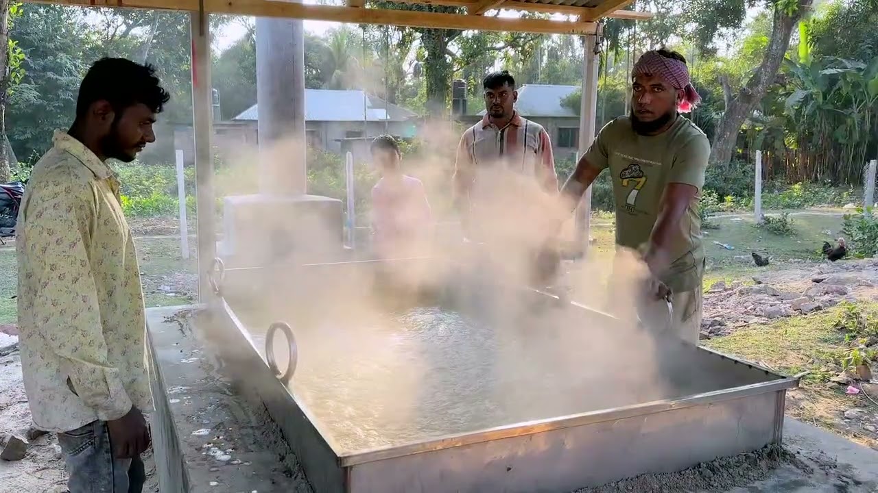 Jaggery from sugarcane: Glorious Agrotech company's Sugarcane field 