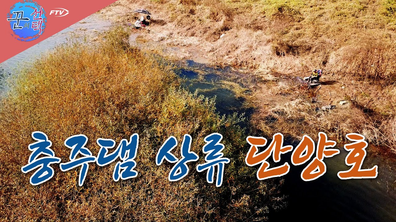 [다시 보기] FTV 꾼의 선택 - 충주댐 상류 단양호