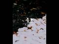 雨の日に聴く、文字を書く音。（short ver.）※13分間のフルバージョンは関連動画から