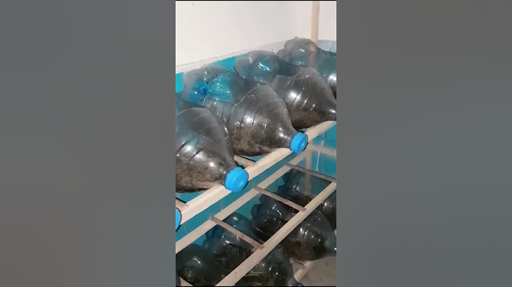 USAHA PALING MENGUNTUNGKAN