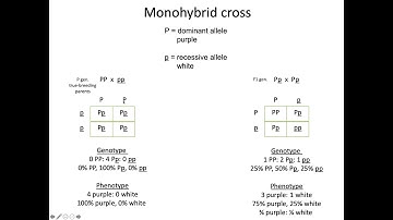Chapter 9 Lecture Video