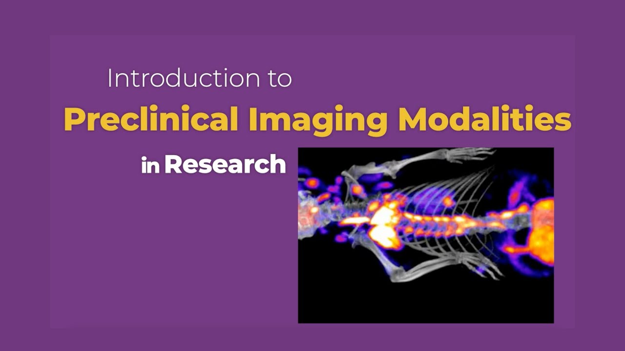 Introduction to Preclinical Multimodal Imaging