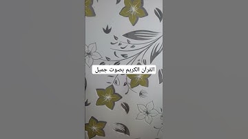 القرآن الكريم بصوت جميل #اكسبلور #تيك_توك #لايك #قرآن #ترند #راحة_نفسية