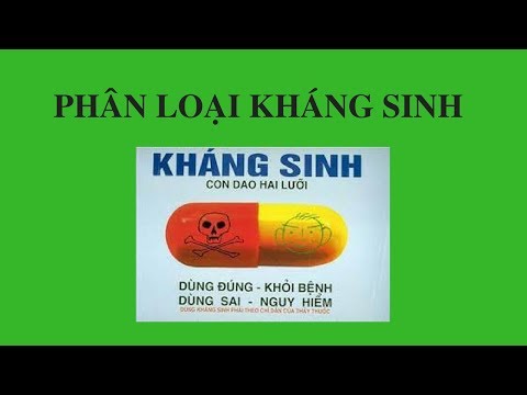 Video Cách phân loại kháng sinh//QT pharma - youtube