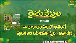 రైతునేస్తం - వానాకాలం వరిలో ఆశించే పురుగుల యాజమాన్యం - నివారణ