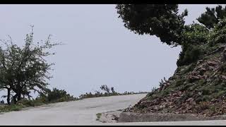 Polsi Madonna Della Montagna