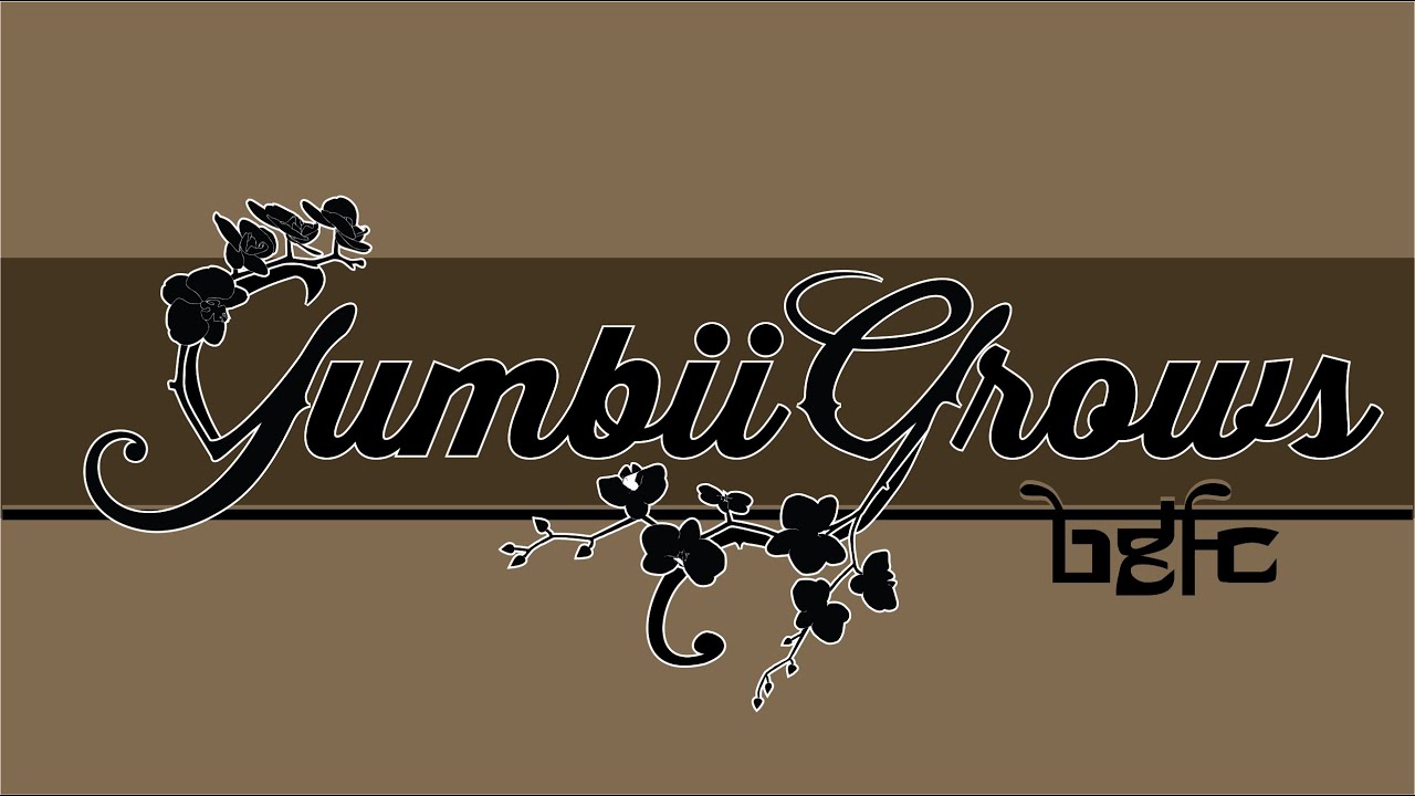 Introduction and Care of Stapeliads