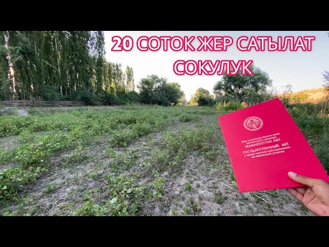 Рено дача 2022
