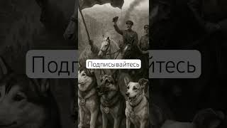 #dog #doglife #рекомендации #собака #жизнь #животные #love #live #герои #верность #собаки #life #топ