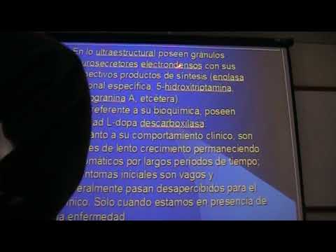 Vídeo: Càncer Carcinoide De Gossos - Càncer De Carcinoides En Gossos