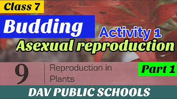 DAV class 7 science chapter 9 Reproduction in Plants