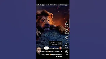 سيمبا اخذ نظره حسان بس ابوه ميت اسد 