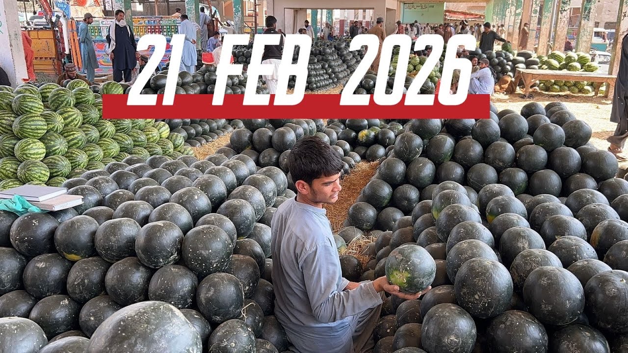 Karachi Sabzi Mandi 21 Feb 2026 rates today| Karachi Fruit Mandi rates todayKarachi 