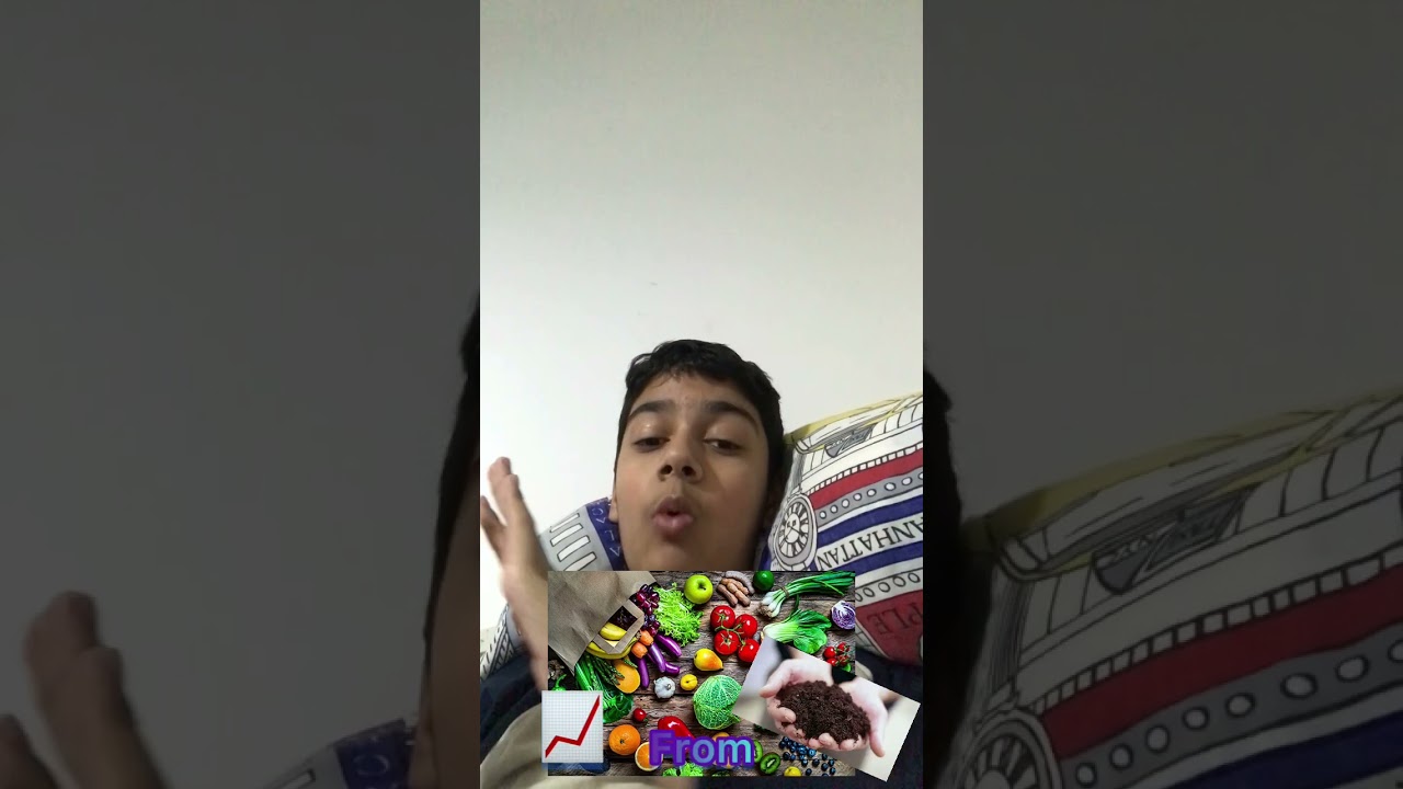 I MADE MY FIRST DISCOVERY! (Are tomatoes a fruit or a vegetable) 