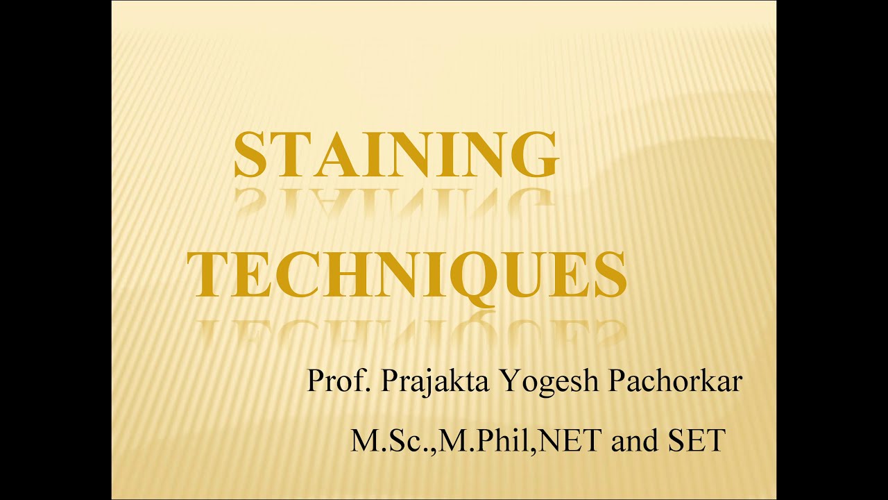 Simple staining techniques - YouTube