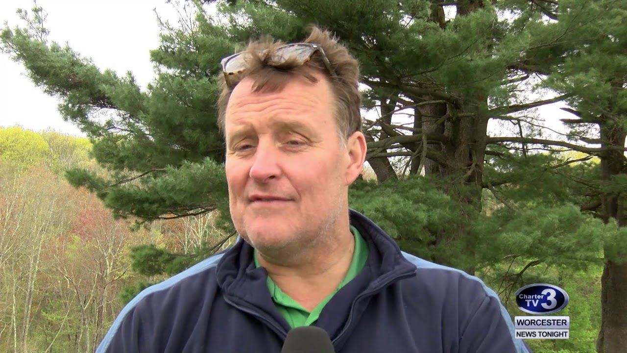 Lyme Disease Research - May 13th, 2019