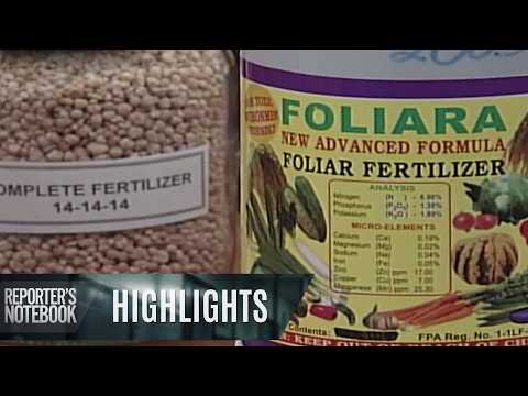 Mga magsasaka, biktima umano ng fertilizer scam! | Reporter’s Notebook