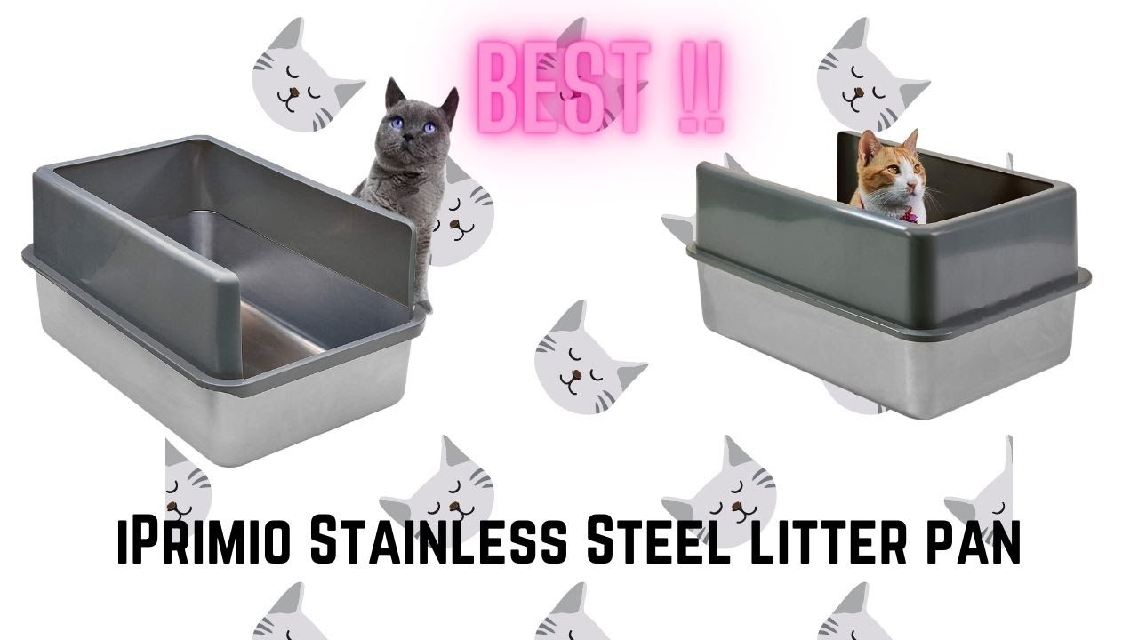 iPrimio stainless steel XL litter pan review YouTube