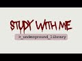 study with me in an underground library of the Ruby Zone — hacked CCTV transmission [asmr] [45 min]