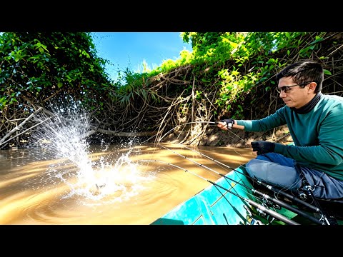 Unexpectedly Caught the BIG BOSS While Fishing For Giant River Shrimp
